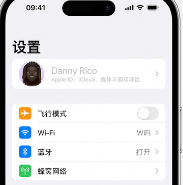 图们appleID维修服务iPhone设置中Apple ID显示为灰色无法使用