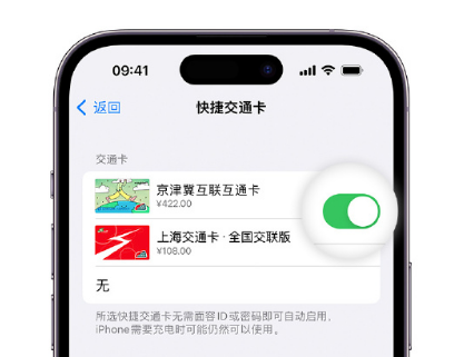 图们apple维修点分享iPhone上更换Apple Pay快捷交通卡手绘卡面 