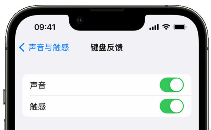 图们苹果手机维修分享iPhone 14触感键盘使用方法 