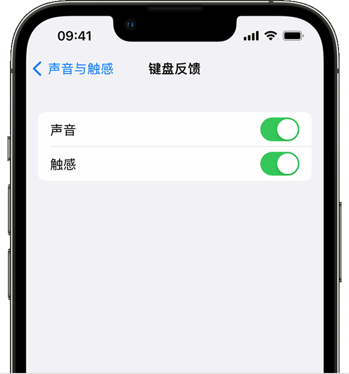 图们苹果14维修店分享如何在 iPhone 14 机型中使用触感键盘 