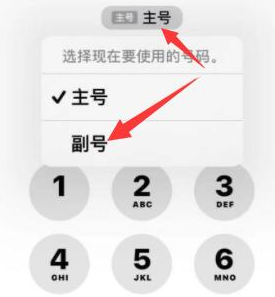 图们苹果14维修店分享iPhone 14 Pro Max使用副卡打电话的方法 