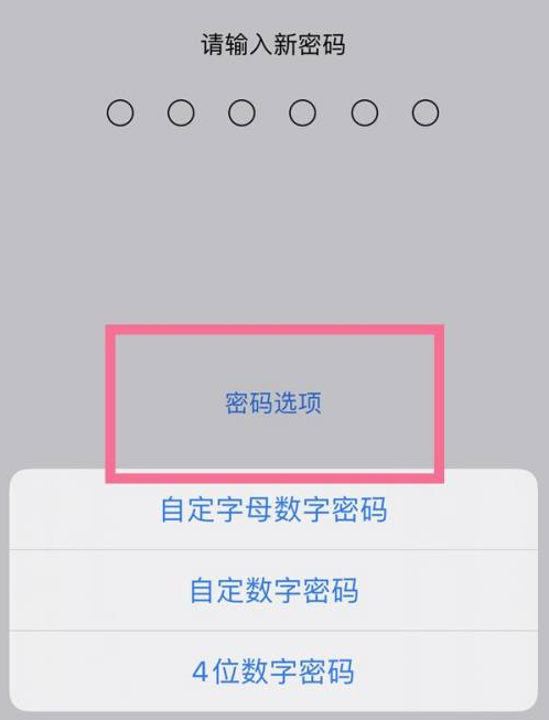 图们苹果14维修分享iPhone 14plus设置密码的方法 