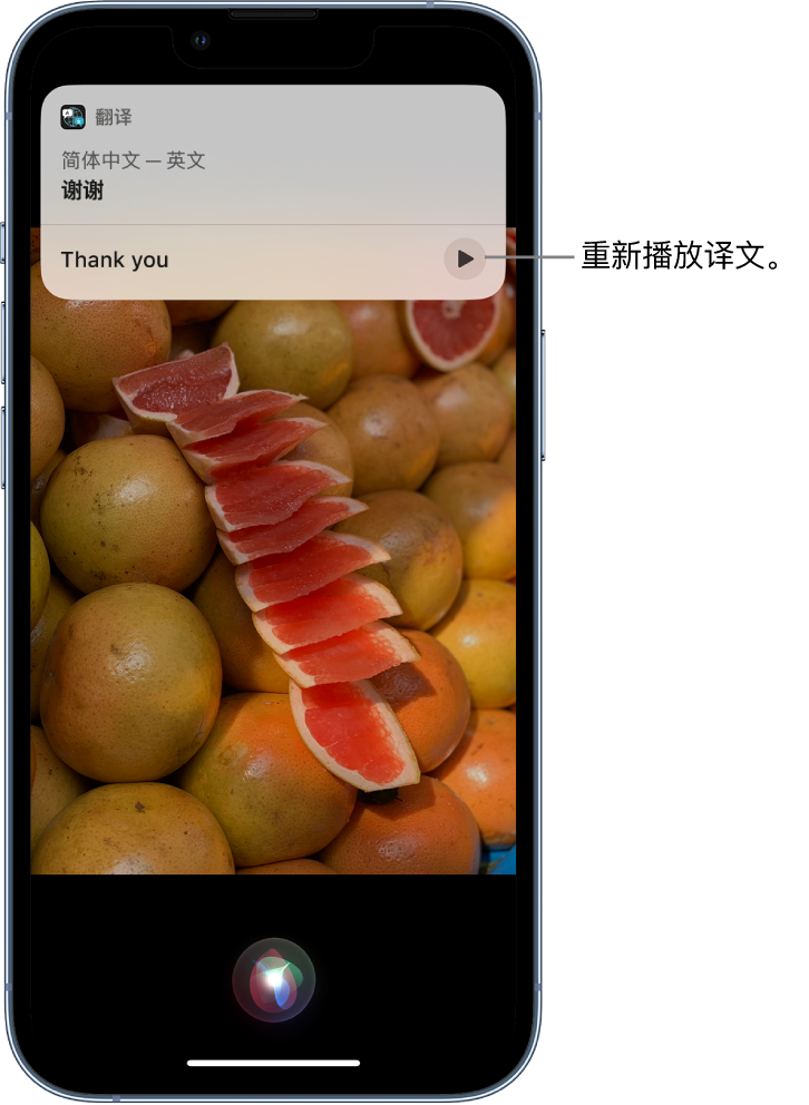 图们苹果14维修分享 iPhone 14 机型中使用 Siri：了解 Siri 能帮你做什么 