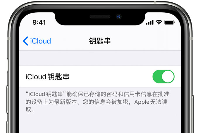 图们苹果手机维修分享在 iPhone 上开启 iCloud 钥匙串之后会储存哪些信息 