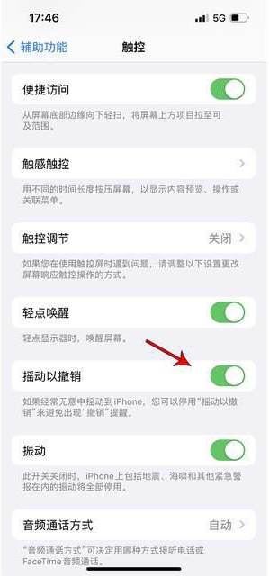 图们苹果手机维修分享iPhone手机如何设置摇一摇删除文字 